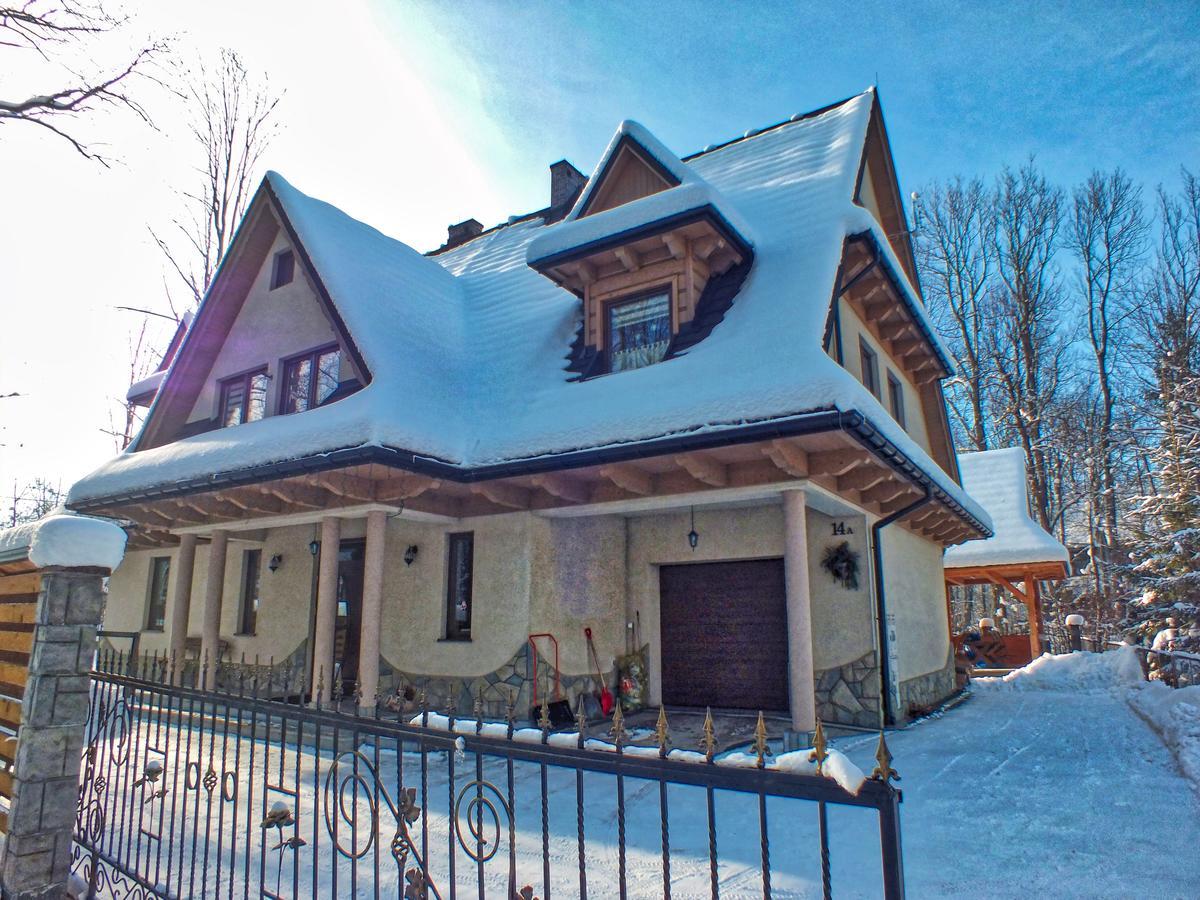 Noclegi W Centrum Sienkiewicza Zakopane Dış mekan fotoğraf